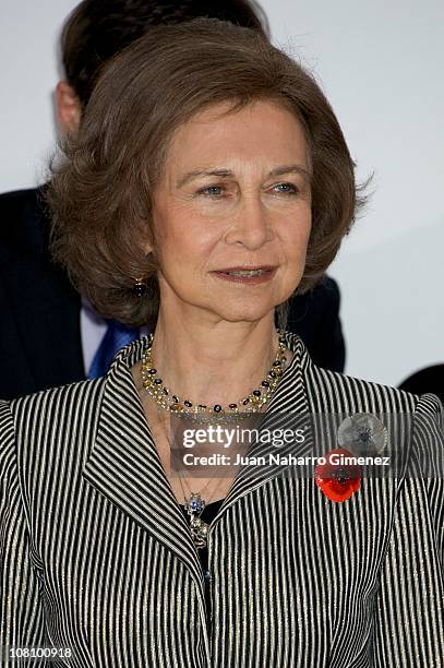 Queen Sofia of Spain attends 'Telefonica Ability Awards' at Telefonica headquarters on January 17, 2011 in Madrid, Spain.