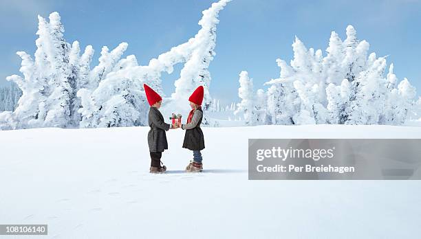 elves exchanging christmas gift in winter forest - christmas elf stock-fotos und bilder