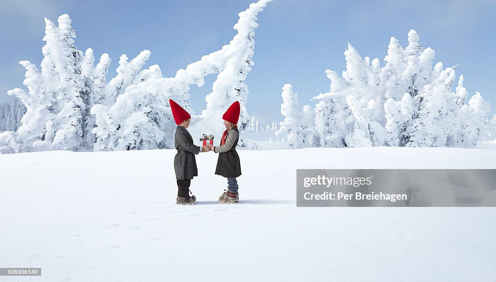 ELVES EXCHANGING CHRISTMAS GIFT IN WINTER FOREST