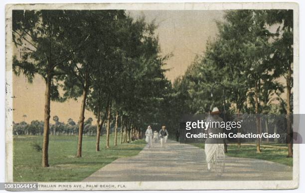 Detroit Publishing Company vintage postcard of Australian Pines Avenue, Palm Beach, Florida, 1914. From the New York Public Library.