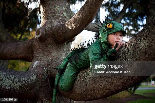 7 year old boy relaxing in a tree - iguana costume fotografías e imágenes de stock