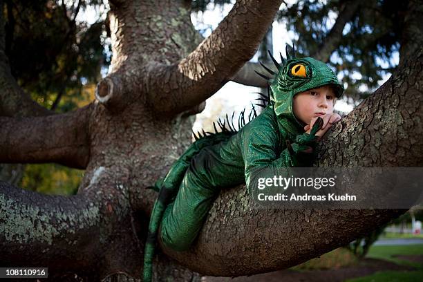 7 year old boy relaxing in a tree - child playing dress up bildbanksfoton och bilder