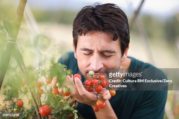 farmer - smelling food stock pictures, royalty-free photos & images