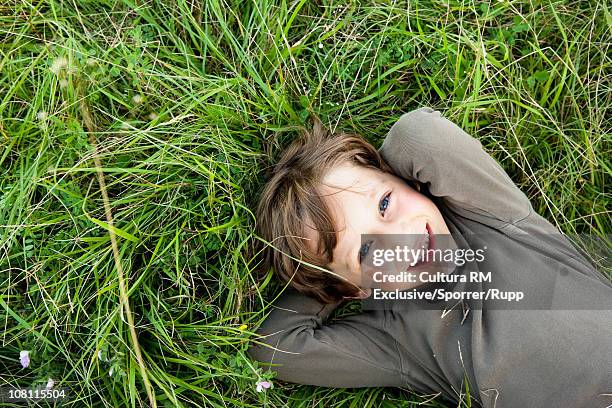 little boy lying in grass - boys relaxing stock-fotos und bilder