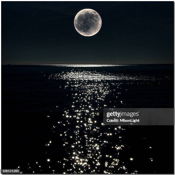 moonlight - clair de lune photos et images de collection
