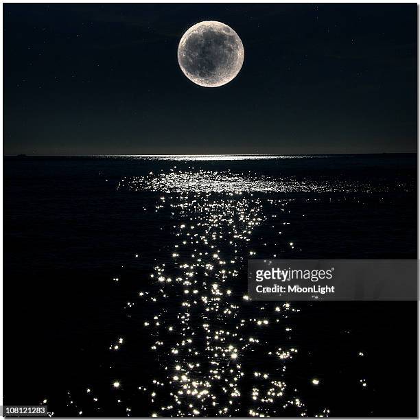 moonlight - månljus bildbanksfoton och bilder