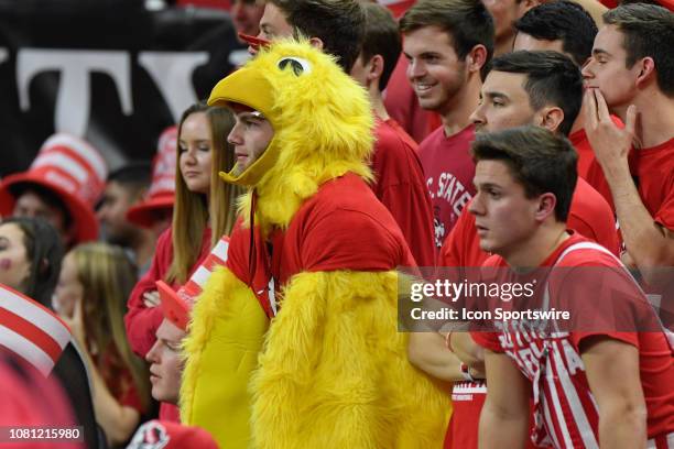 North Carolina State Wolfpack fan "chicken" during the college basketball game between North Carolina Tar Heels and North Carolina State on January...
