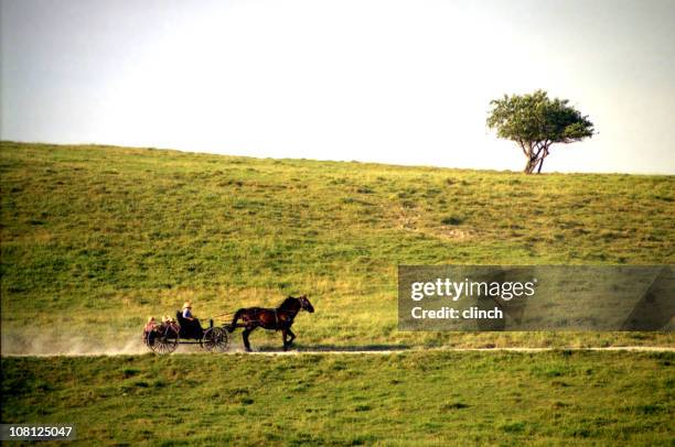 pferd mit buggy auf kleine straße entlang der seite des hill - amish man stock-fotos und bilder