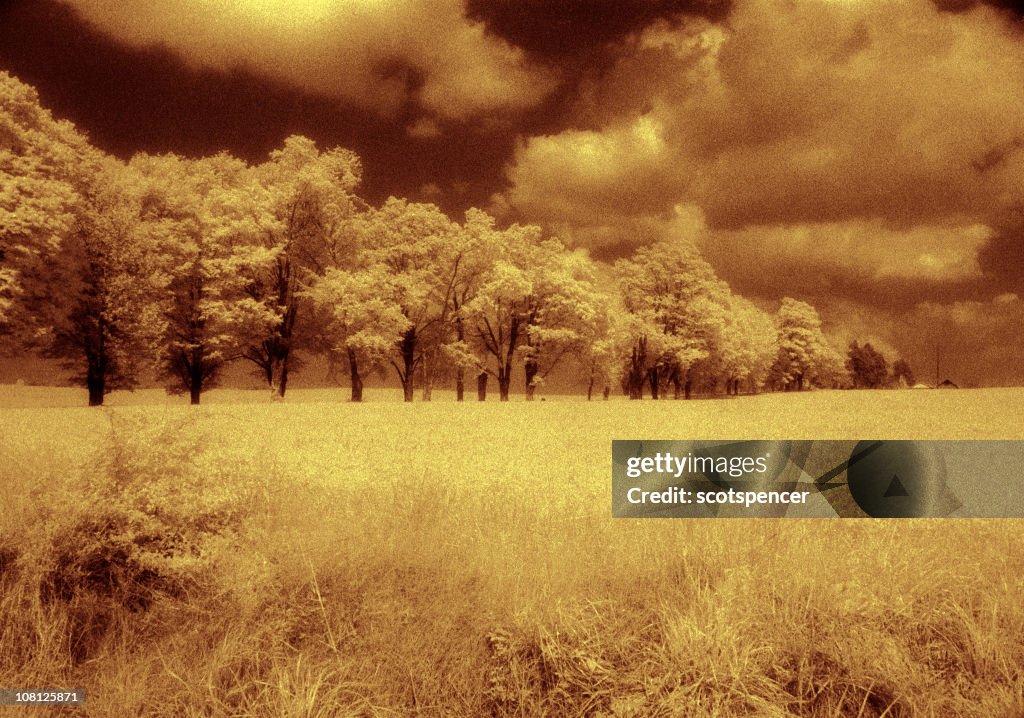 Infra-rouge paysage