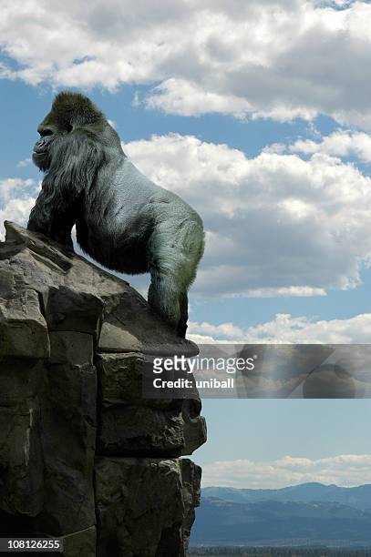 gorilla sul rocks - mountain gorilla foto e immagini stock