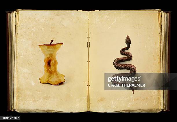 the book of sins - the seven deadly sins stock pictures, royalty-free photos & images