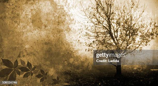 silhouette of tree grunge - garden of eden stock pictures, royalty-free photos & images