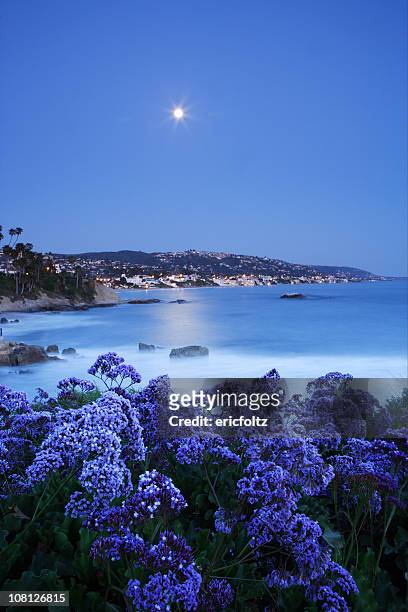 moonrise over laguna - laguna beach california stock pictures, royalty-free photos & images