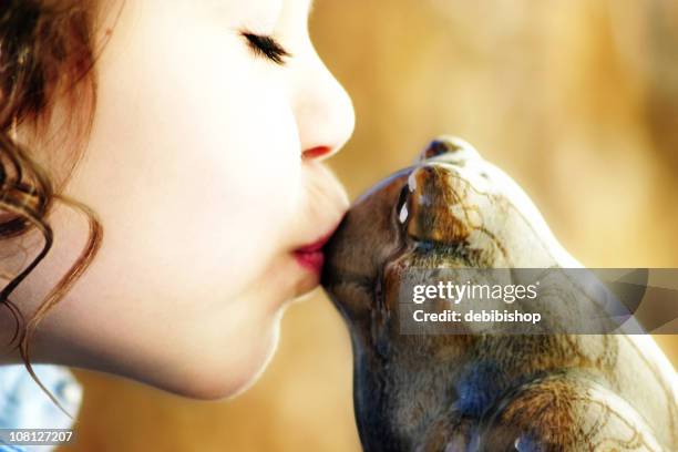 menina beijar sapo - príncipe encantado imagens e fotografias de stock