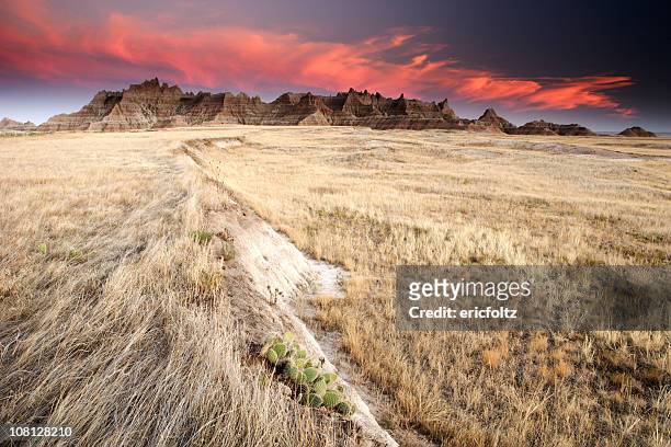 badlands and prairie field at sunset - badlands national park stock pictures, royalty-free photos & images