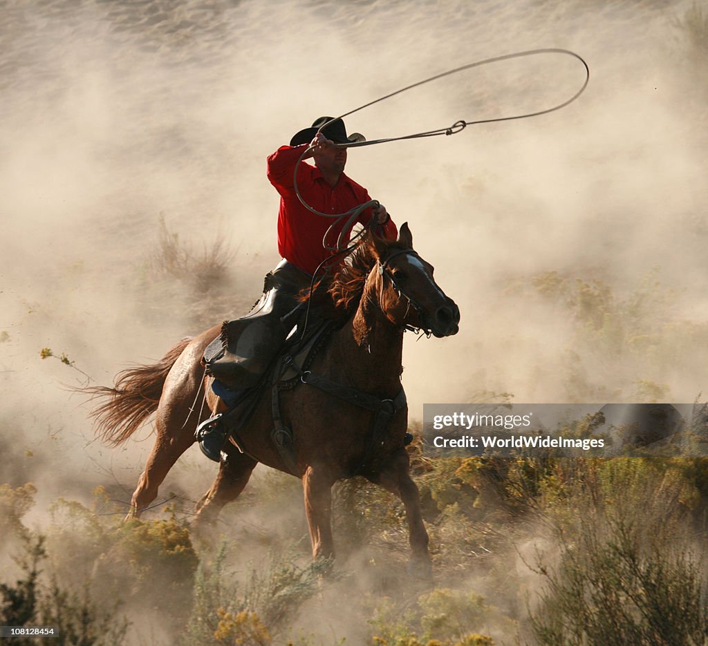 Lone cavaliere al galoppo lanciare lassoo