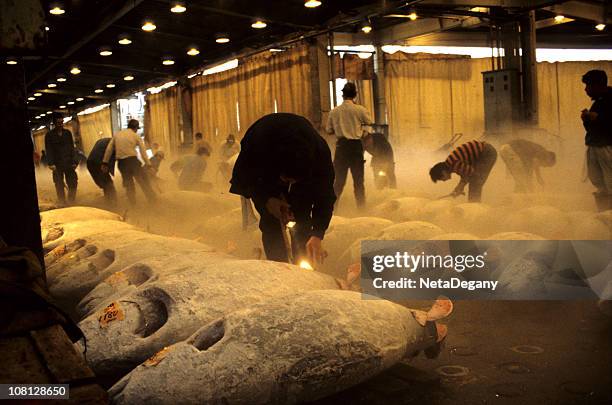 tokyo's fish market - fish market stock pictures, royalty-free photos & images