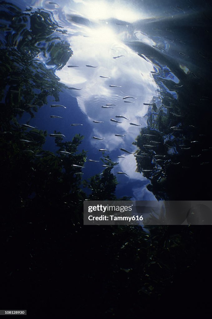 Wolken von unter dem Meer