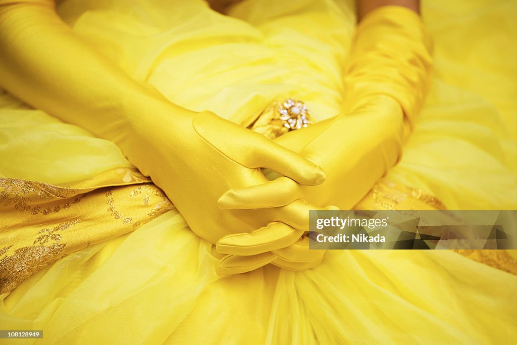 Woman's Gloved Hands Laying on Dress