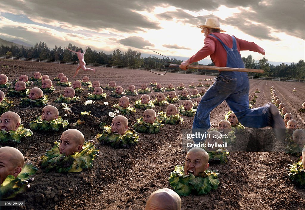 LETTUCEHEAD