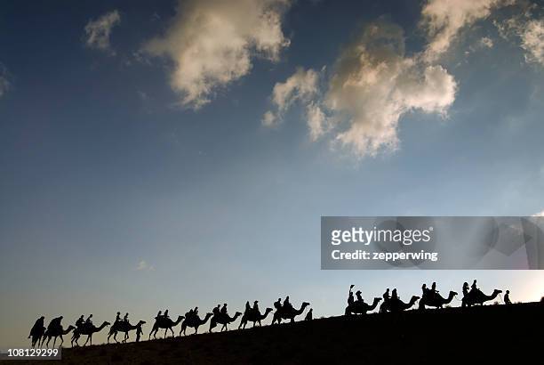 camel line - camel train stock pictures, royalty-free photos & images