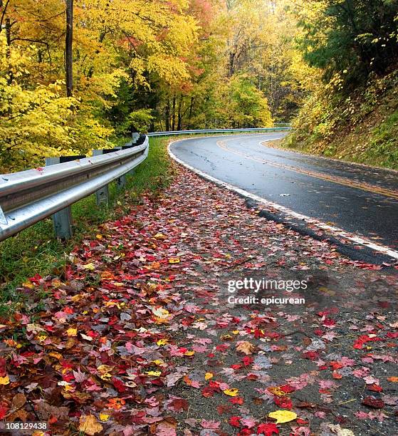 autumn leaves on winding road through forest - crash barrier stock pictures, royalty-free photos & images