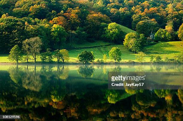 grasmere lake reflection - lake district stock pictures, royalty-free photos & images