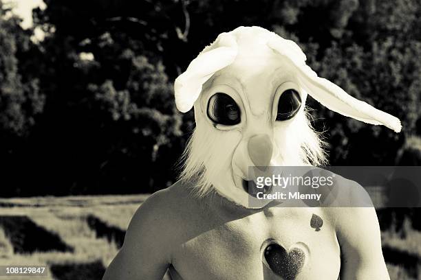 bad rabbit - rabbit mask stock pictures, royalty-free photos & images