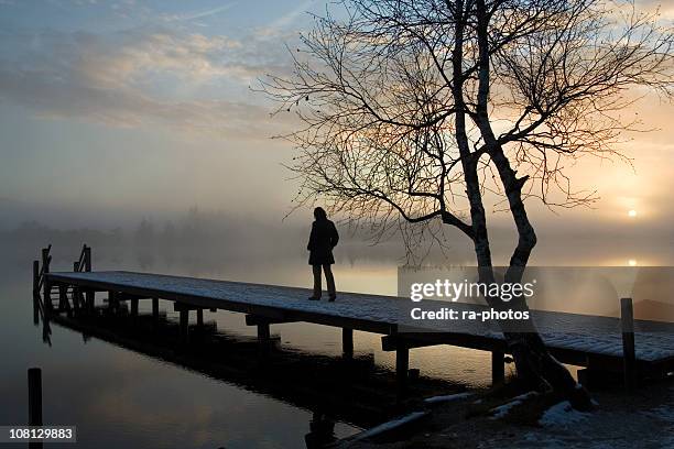 silhouette of a person alone on a dock - zelfmoord stockfoto's en -beelden