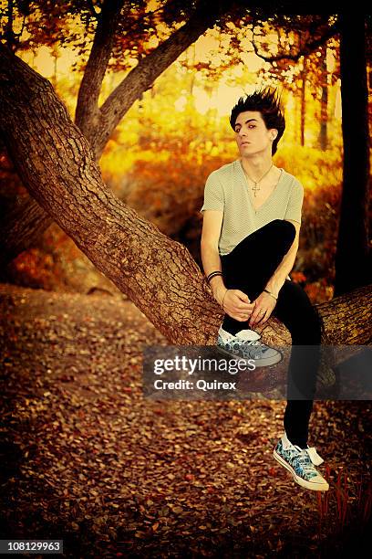 young emo boy portrait, sitting on tree in forest - emo stock pictures, royalty-free photos & images