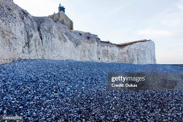 England, East Sussex, Eastbourne, South Downs National Park, The Seven Sisters Cliffs at Birling Gap