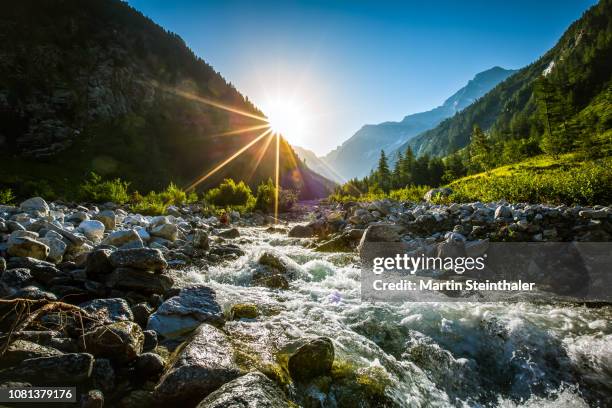 frei fließendes flussbett bei sonnenaufgang - riverbed fotografías e imágenes de stock