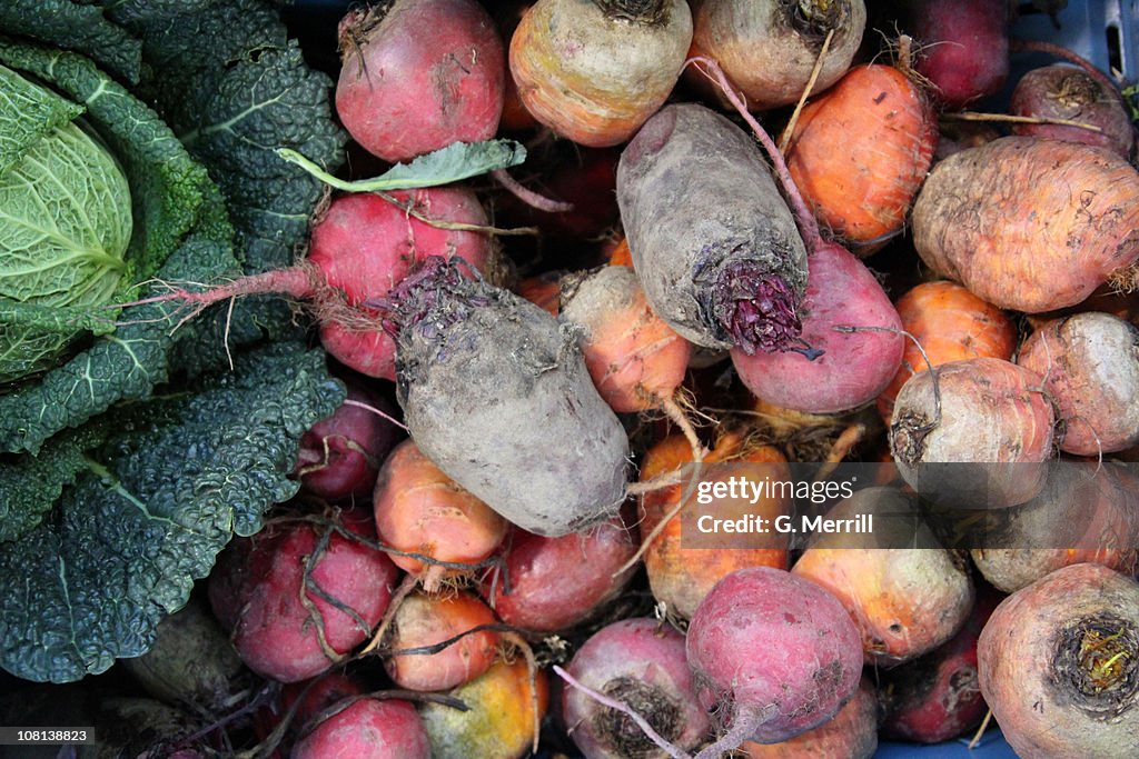 A variety of root vegetables