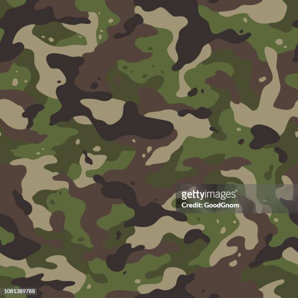 ilustrações de stock, clip art, desenhos animados e ícones de army camouflage - camoflague