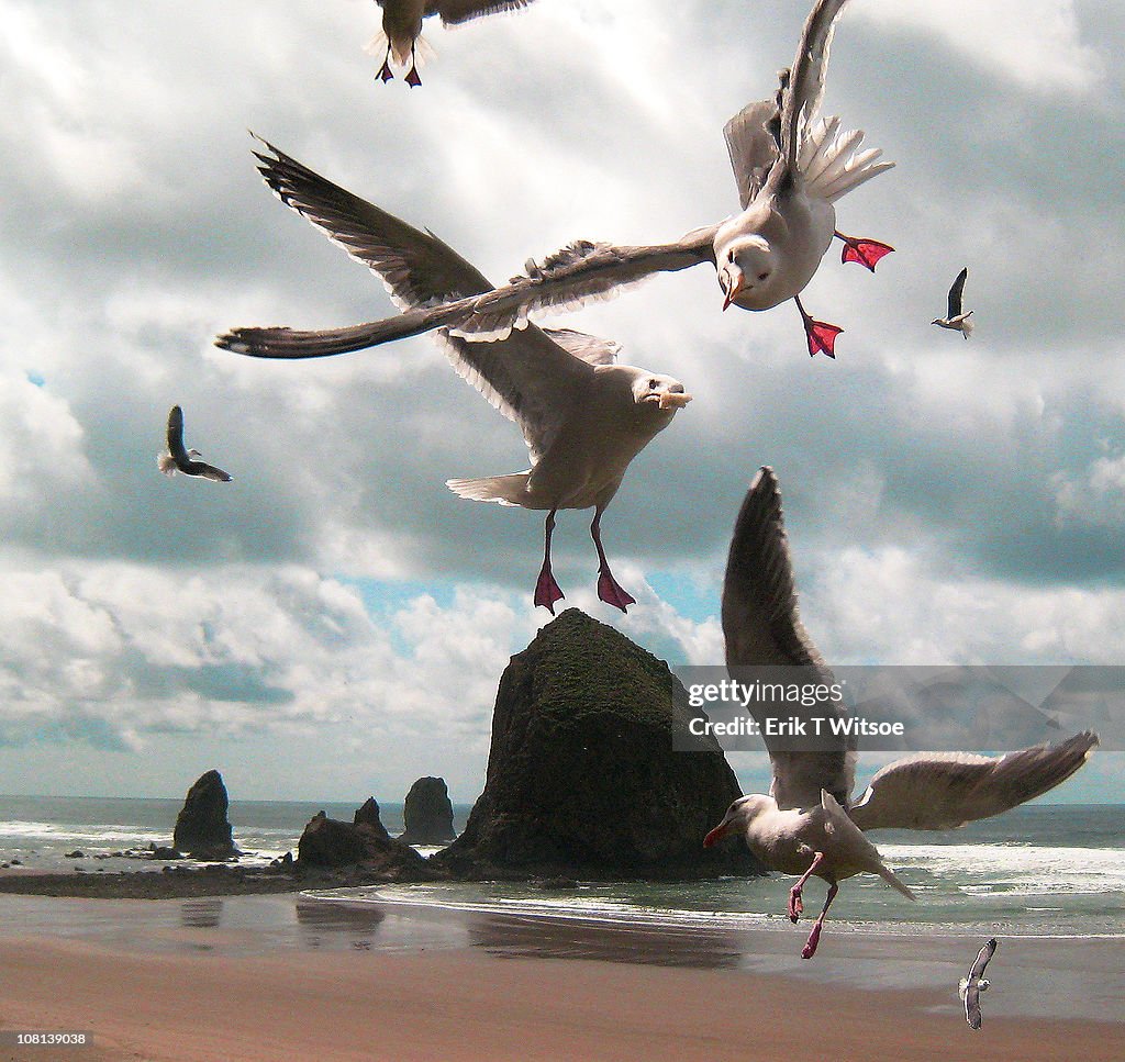 Haystack Rock, Cannon Beach