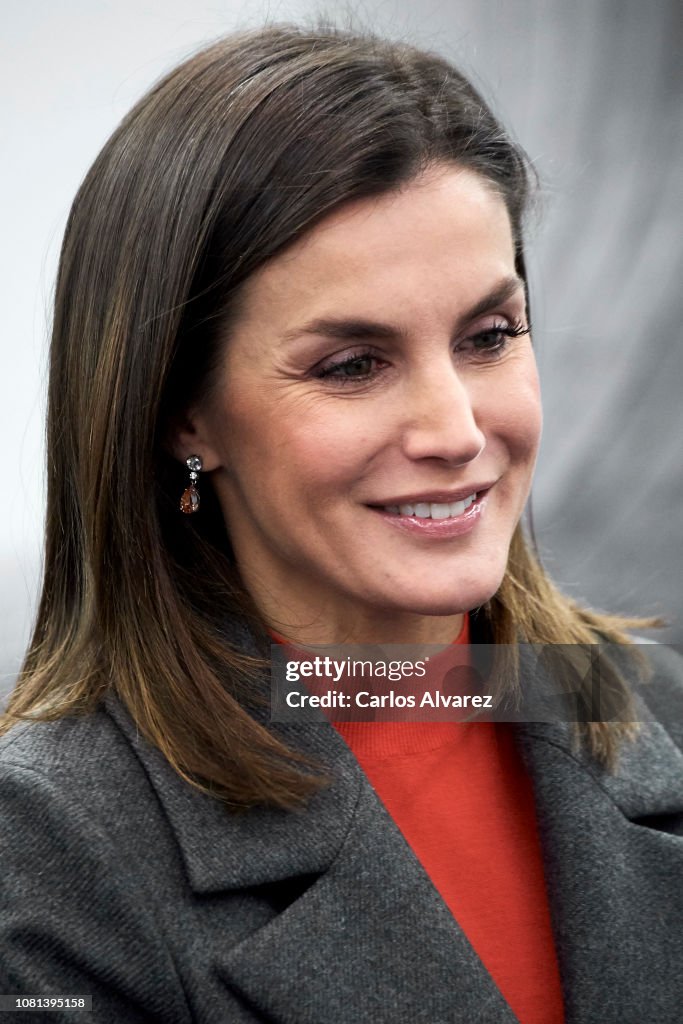 Queen Letizia Of Spain Attends A Meeting With FAD Foundation