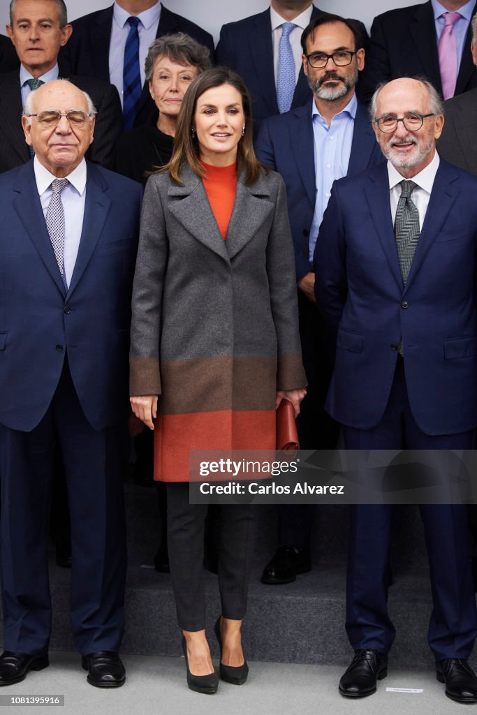 Queen Letizia Of Spain Attends A Meeting With FAD Foundation