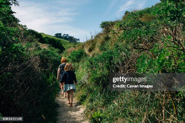 rear view of siblings walking amidst plants - dunedin new zealand stock pictures, royalty-free photos & images