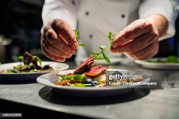 pan fried duck. - restaurant dinner plate stock pictures, royalty-free photos & images