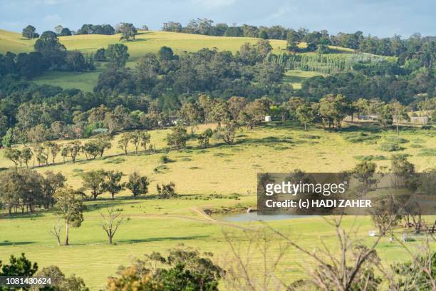 farmland and bushland | regional victoria | australia - regional australia stock pictures, royalty-free photos & images
