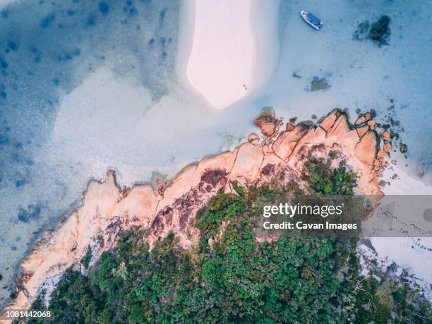 aerial view of island by sea - whitehaven beach stockfoto's en -beelden