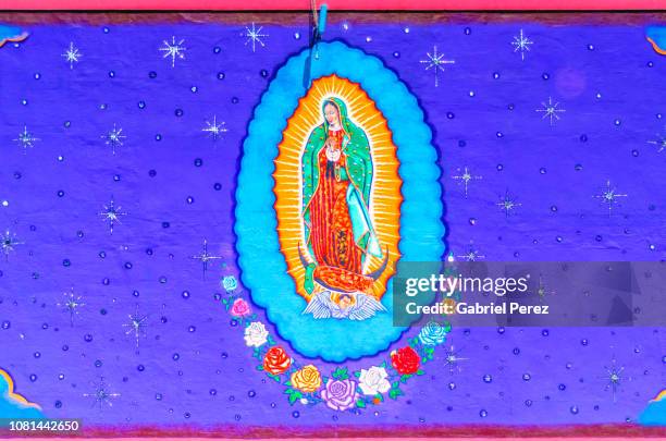 tribute to our lady of guadalupe - virgen de guadalupe 個照片及圖片檔