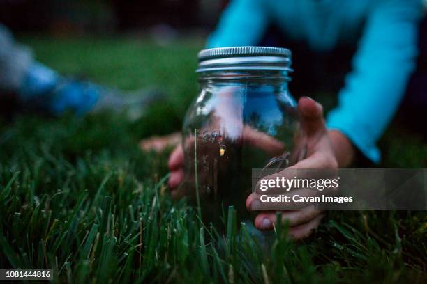 cropped hands of boy holding glass jar with firefly on grassy field - catching bugs stock pictures, royalty-free photos & images