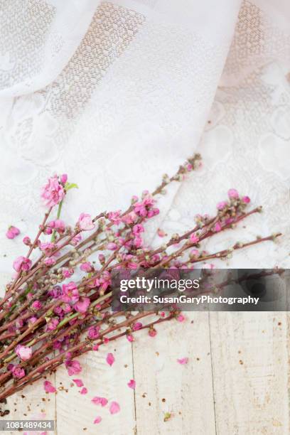 383 Pink Lace Wallpaper Photos and Premium High Res Pictures - Getty Images 383 Pink Lace Wallpaper Photos and Premium High Res Pictures - Getty Images