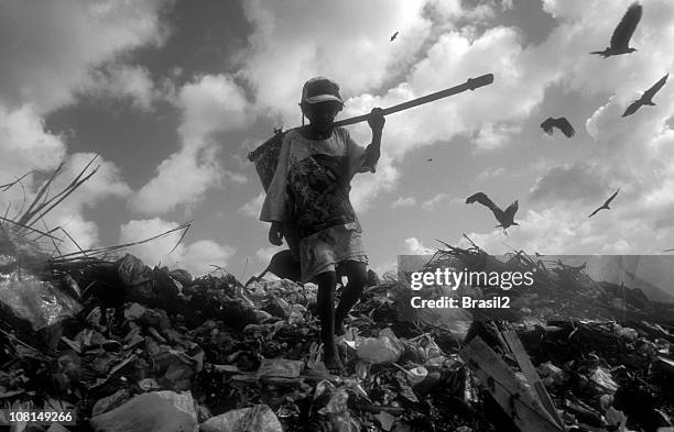 young boy climbing and picking through landfill - clothes landfill bildbanksfoton och bilder