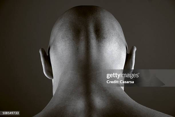 head 1 - completely bald stockfoto's en -beelden