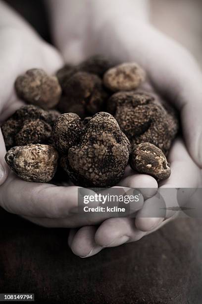 handful of black truffles in black and white - truffles stock pictures, royalty-free photos & images