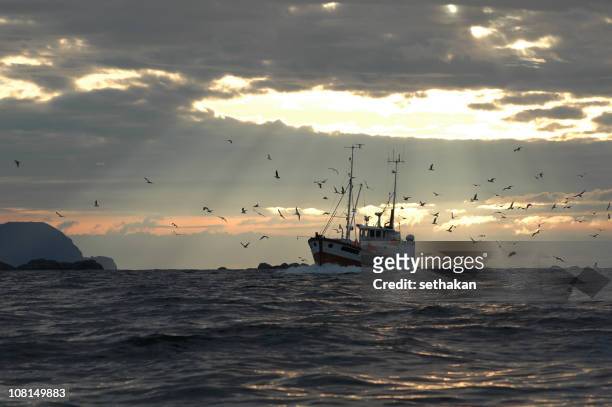 fisherman in sunlight - trawler stock pictures, royalty-free photos & images
