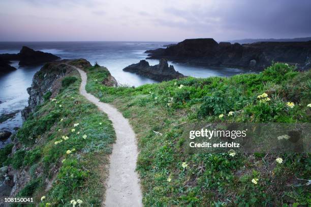 path to nowhere - headland stock pictures, royalty-free photos & images