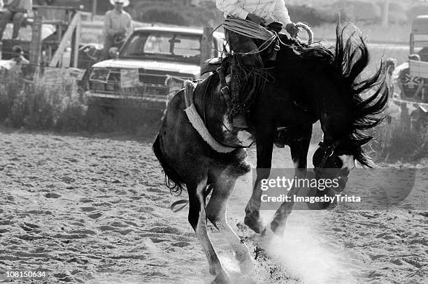 cowboy equitação resistindo cavalo, preto e branco - cavalo selvagem arqueado imagens e fotografias de stock